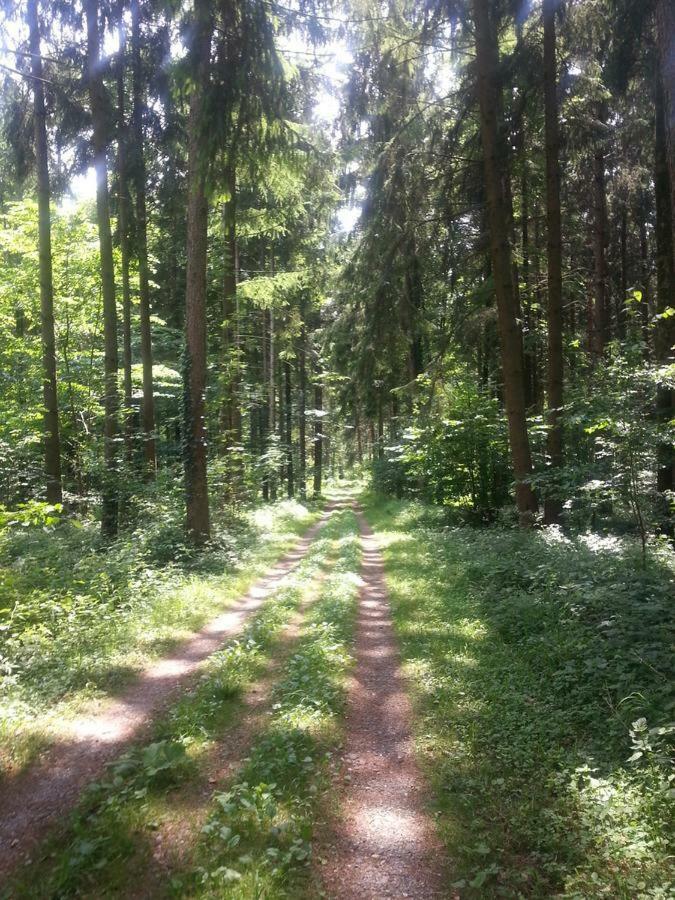 Herberge Маркдорф Экстерьер фото